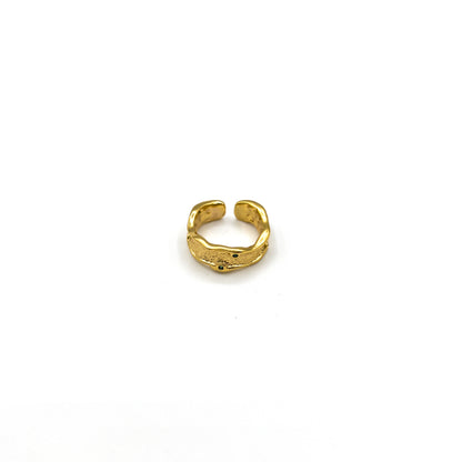 Anillo Iris